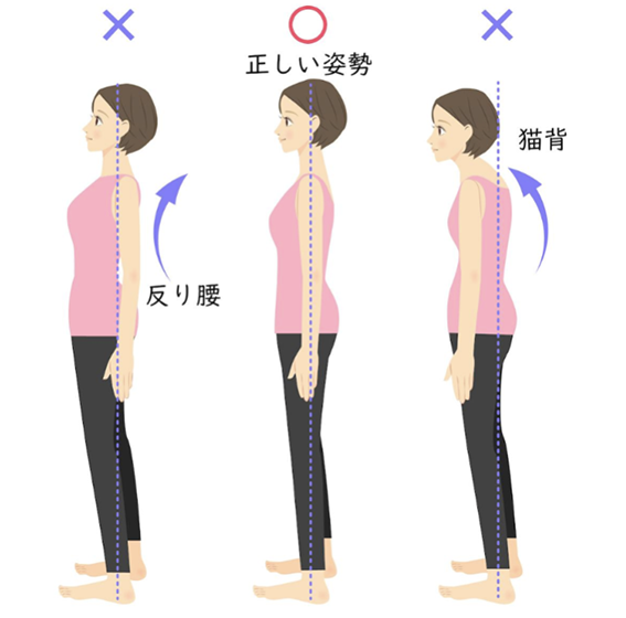 堺市西区で腰痛の解消する整体はひらた整骨院にお任せください。
